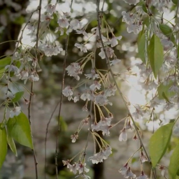 Meet your Posher, Maria - Picture 1 of 1